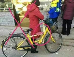 共享自行车爆料新闻报道,揭秘背后真相与困境