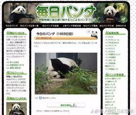 熊猫天天最新新闻爆料,最新热点事件内幕曝光 第2张 熊猫天天最新新闻爆料,最新热点事件内幕曝光 第2张